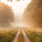 a road that continues unending